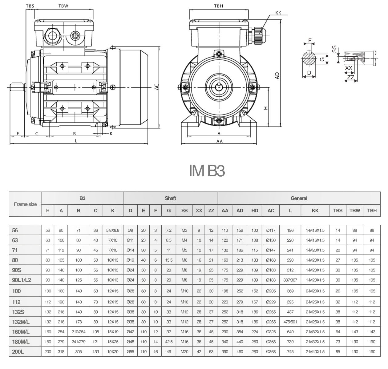 Трехфазный асинхронный двигатель MS/TA, фото 2