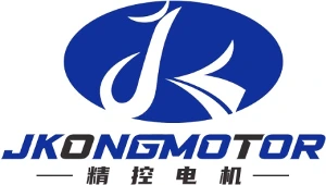 CHANGZHOU JKONGMOTOR CO., LTD - Фото 9
