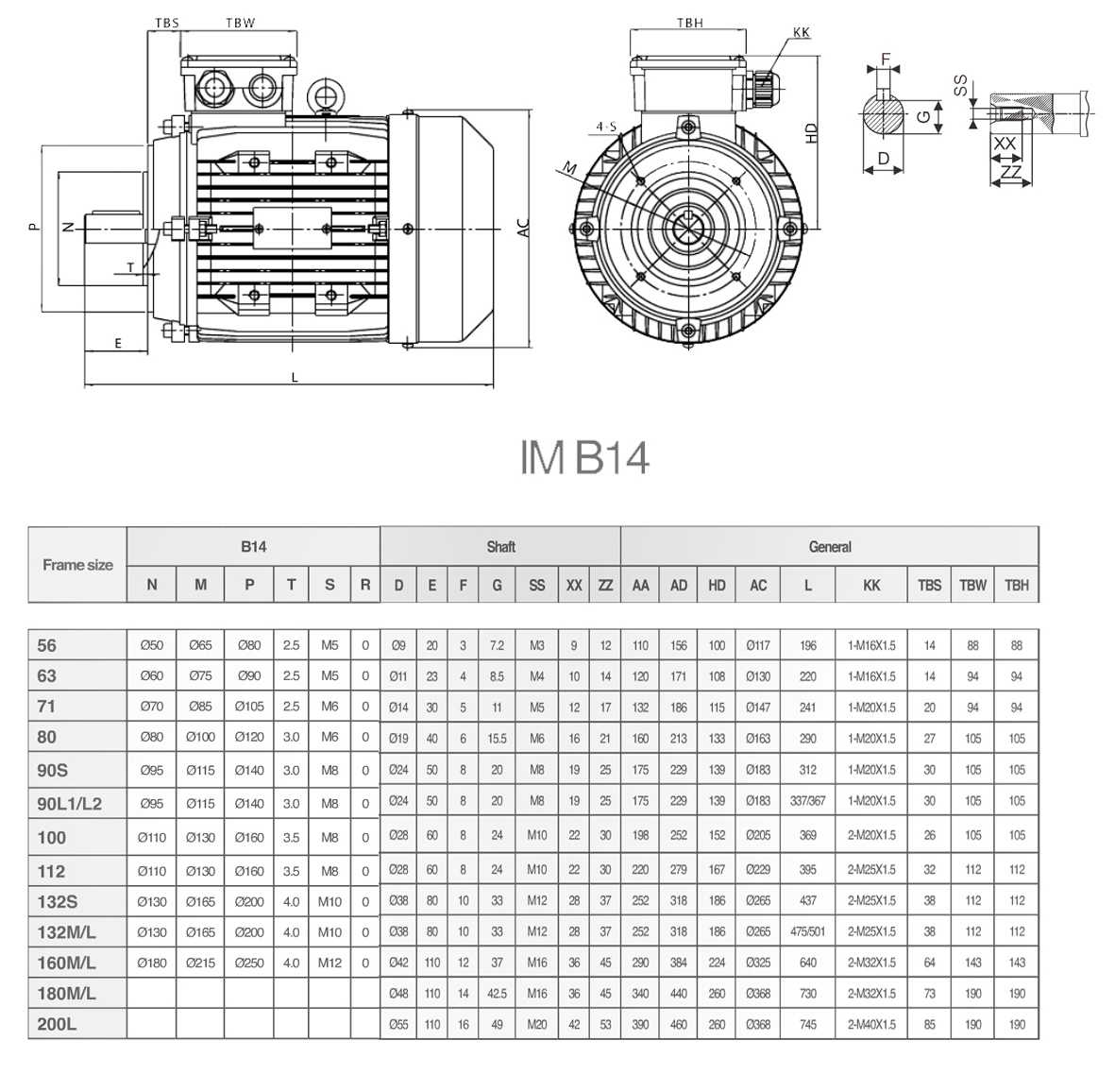 Трифазний асинхронний двигун MS/TA, фото 4